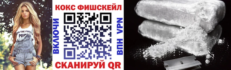 наркота  Карачаевск  COCAIN Fish Scale 