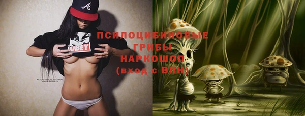 шишки Покровск