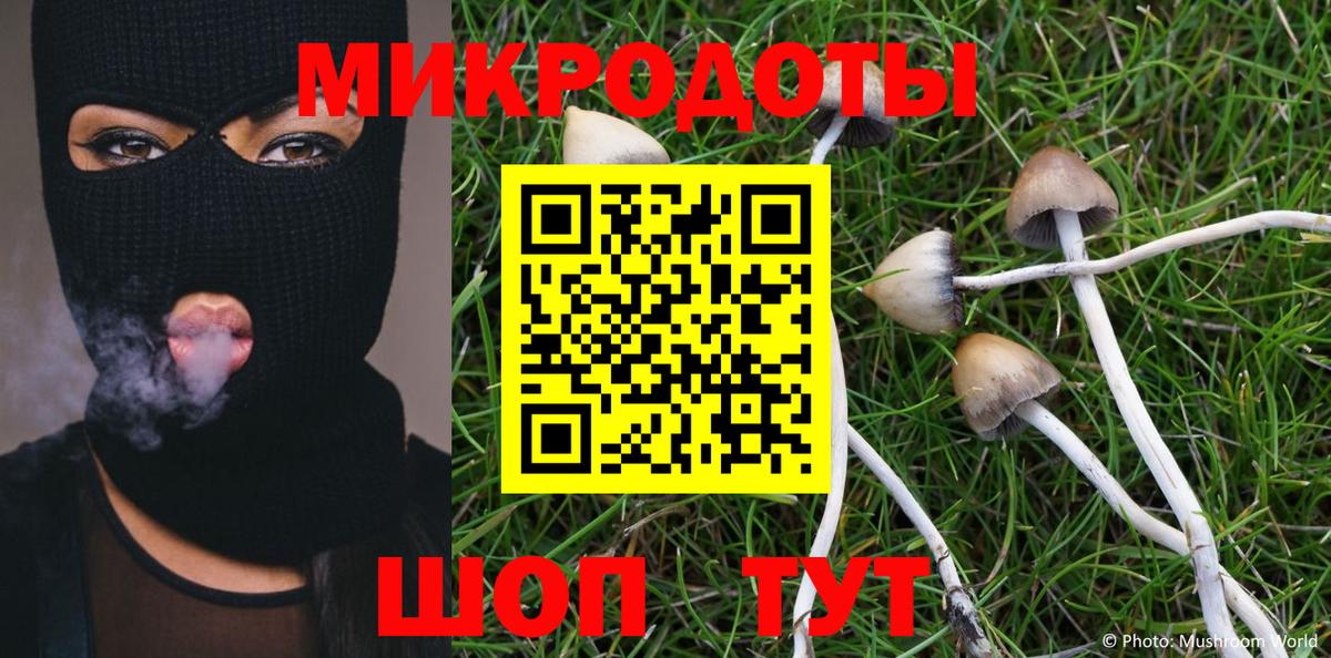 Псилоцибиновые грибы MAGIC MUSHROOMS  Псилоцибиновые грибы мицелий  Карачаевск  Вход с VPN 